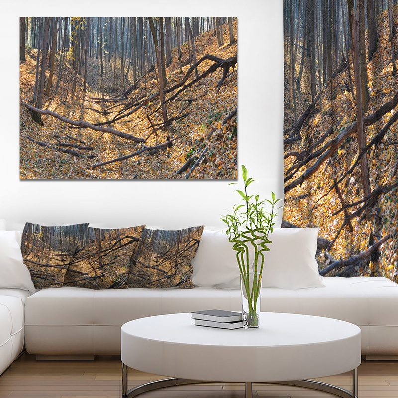 Thick Autumn Forest Panorama - Landscape Wall Artwork