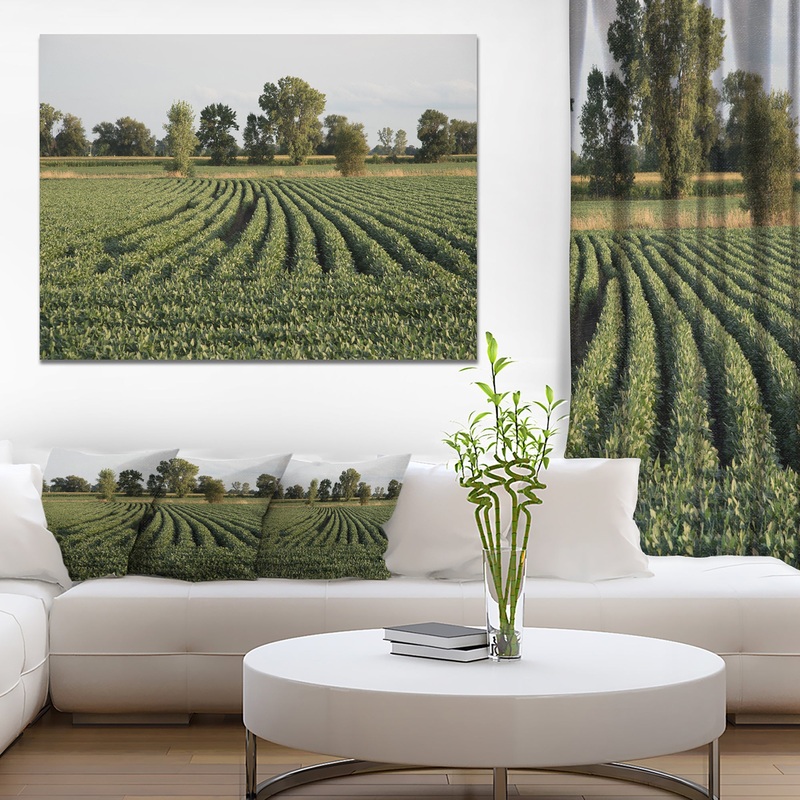 Wisconsin Soybean Field Rows - Landscape Wall Artwork