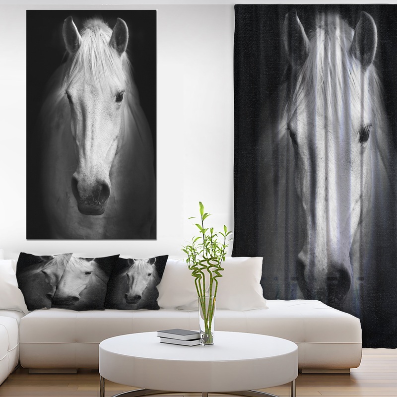 White Horse Black and White - Animal Canvas Art Print