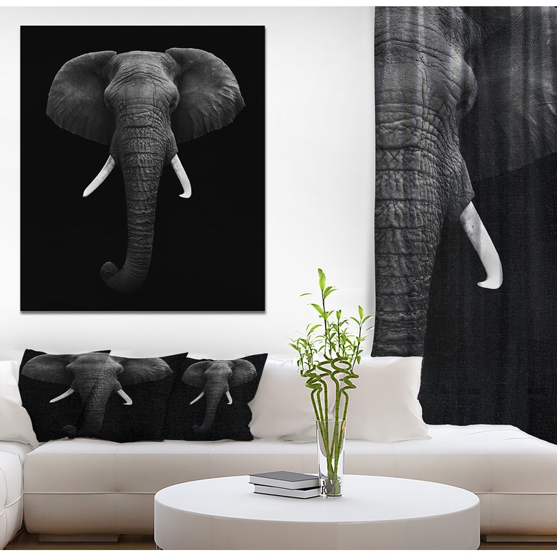 African Elephant - Africa Animals photography on Wrapped Canvas