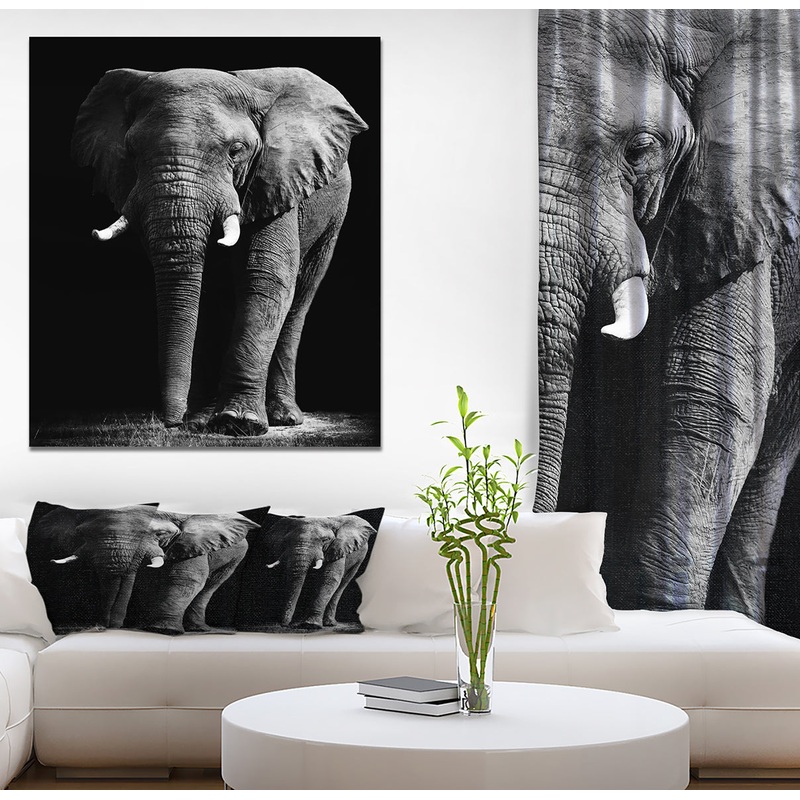 African Elephant in Black Background - Africa Animals Photography on Wrapped Canvas