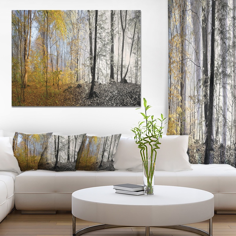 Yellow Morning in Forest Panorama - Landscape Large Canvas Art Print