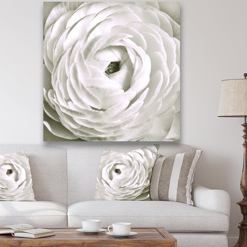 White Rannunculus Close up - Cottage Canvas Art Print