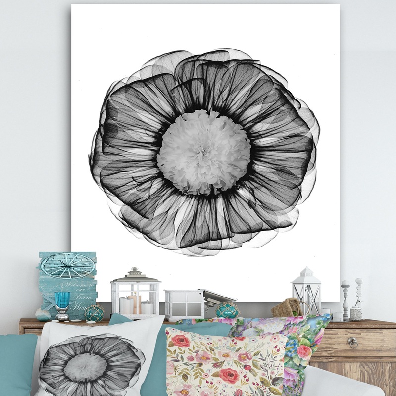 Zinnia Montage Black & White X-Ray - Cottage Canvas Art Print