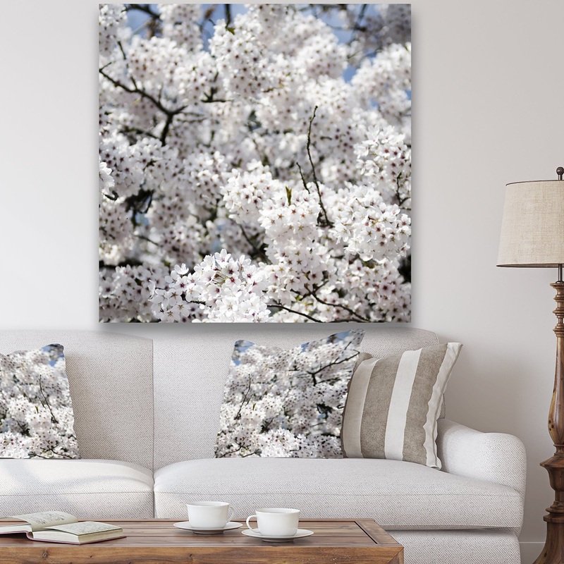 White Spring Blossom On Blue Sky - Cottage Canvas Wall Art