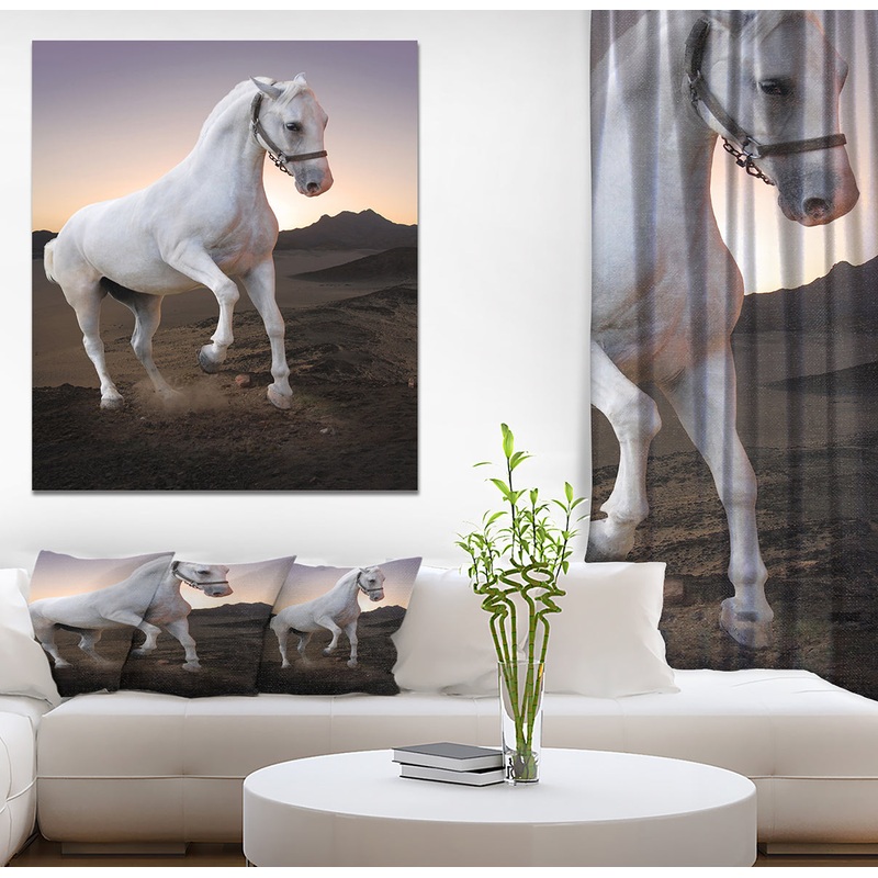 White horse in the desert - Farmhouse Animals Photographic on wrapped Canvas