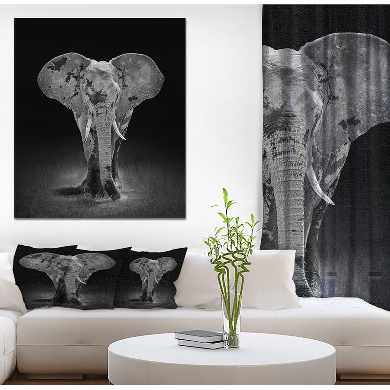 African Big Elephant - Africa Animals photography on Wrapped Canvas