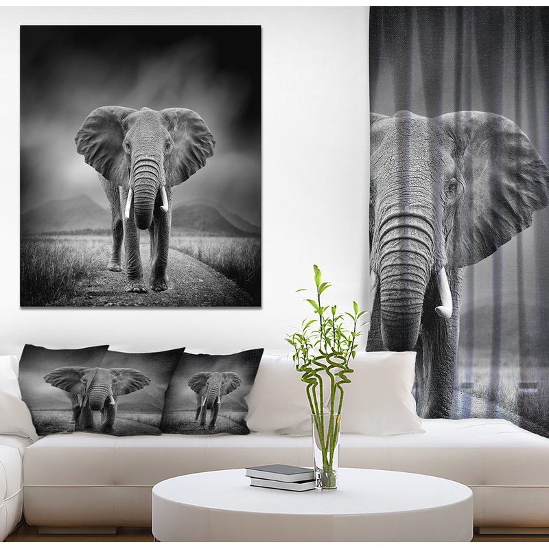 African Elephant in Dark Background - Africa Animals Photography on Wrapped Canvas