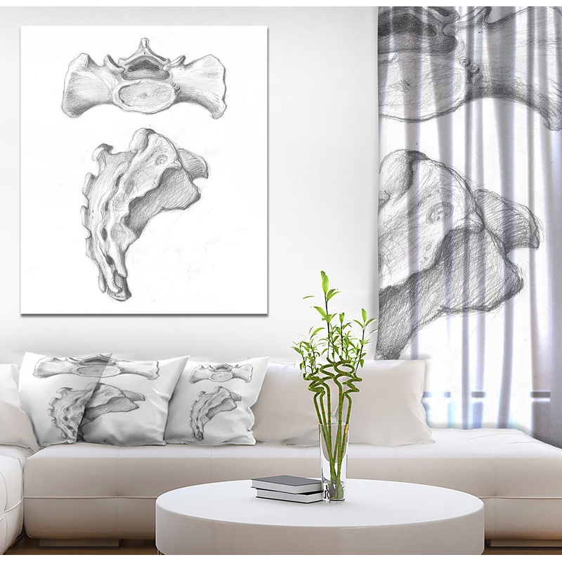 Two views of sacrum - Bones Painting Print on Wrapped Canvas