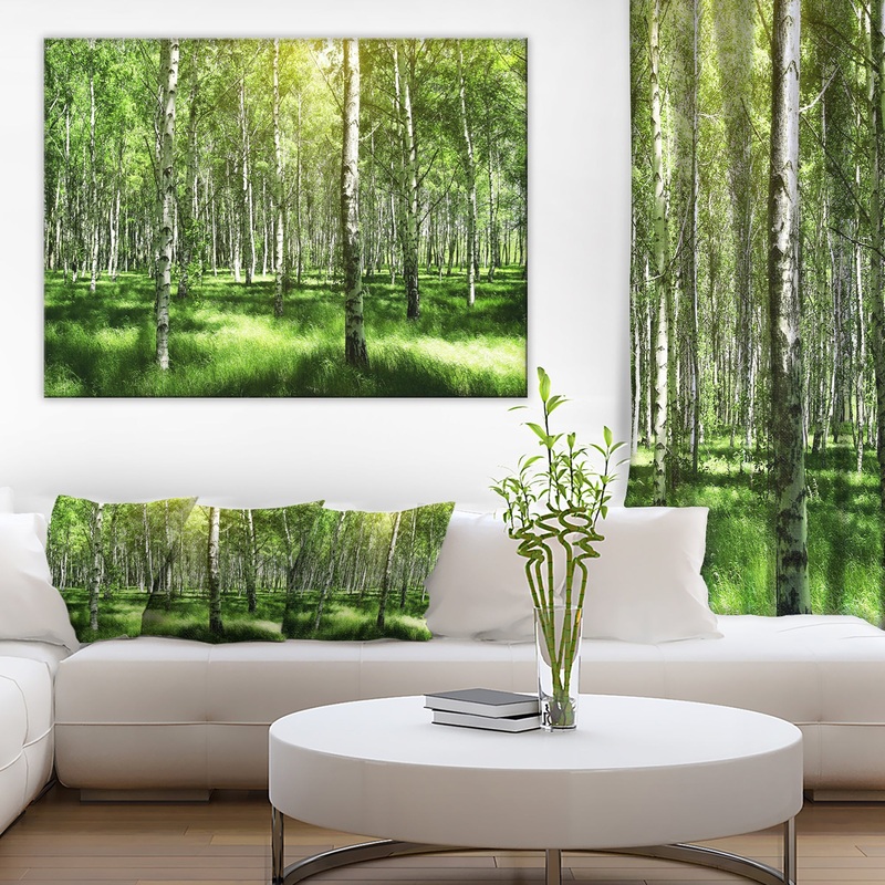 Beautiful Birch Grove - Landscape Canvas Art Print