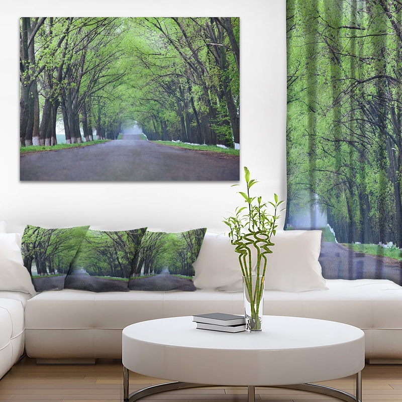 Arched Trees Over Country Road - Landscape Photo Canvas Print