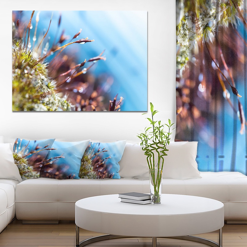 Abstract Moss Flowers in Summer Spring - Landscape Art Print Canvas