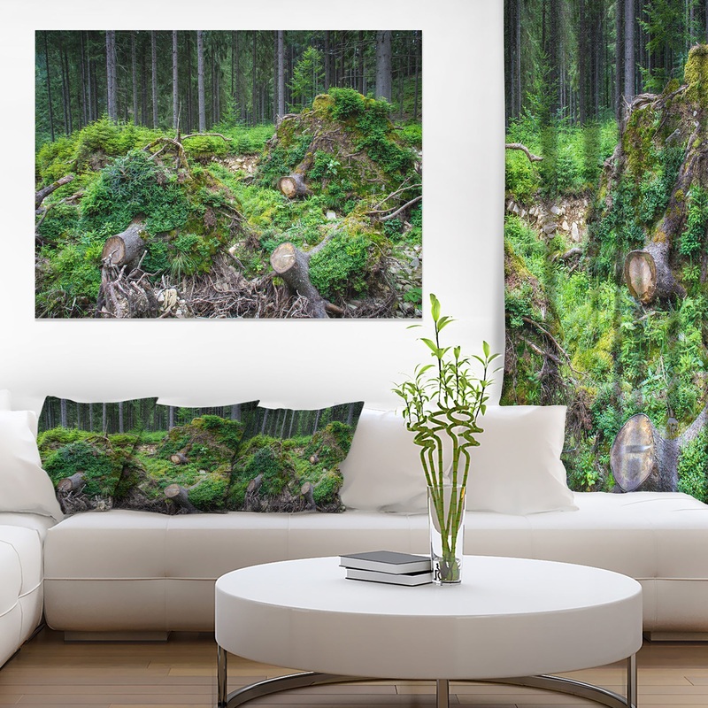 Wild Deep Forest Rocks and Hills - Landscape Art Print Canvas