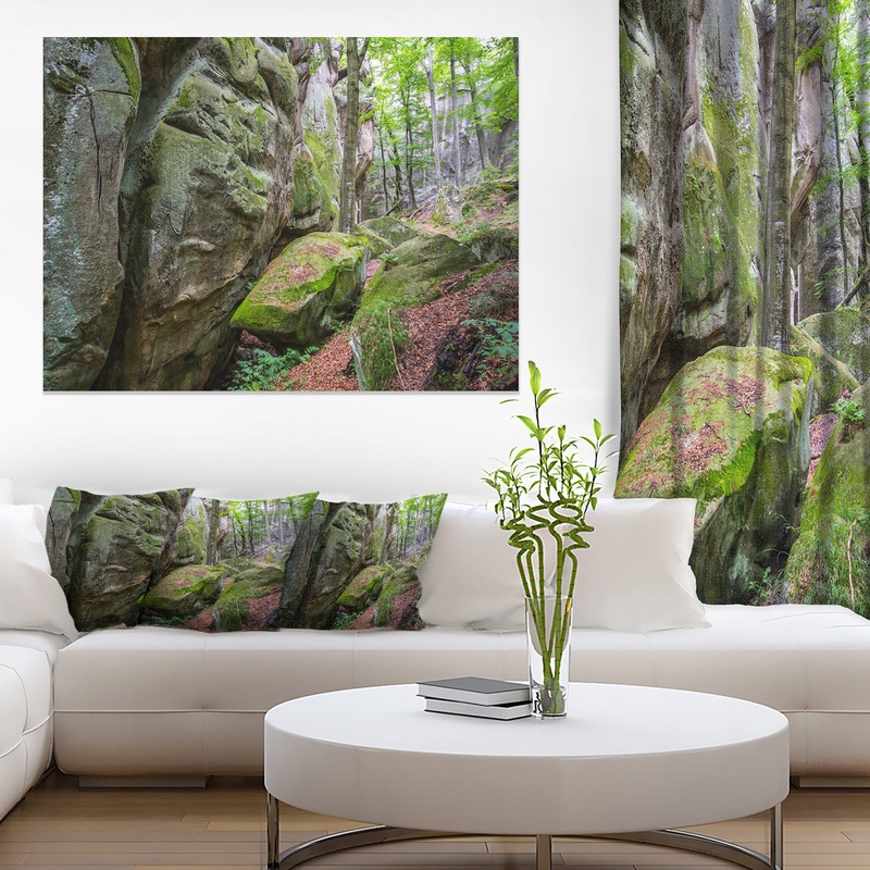 Wild Deep Moss Forest Ukraine - Landscape Art Print Canvas
