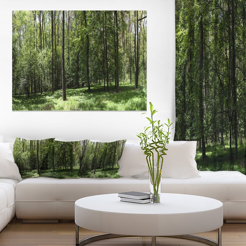 Wild Green Forest Panorama - Oversized Forest Canvas Artwork