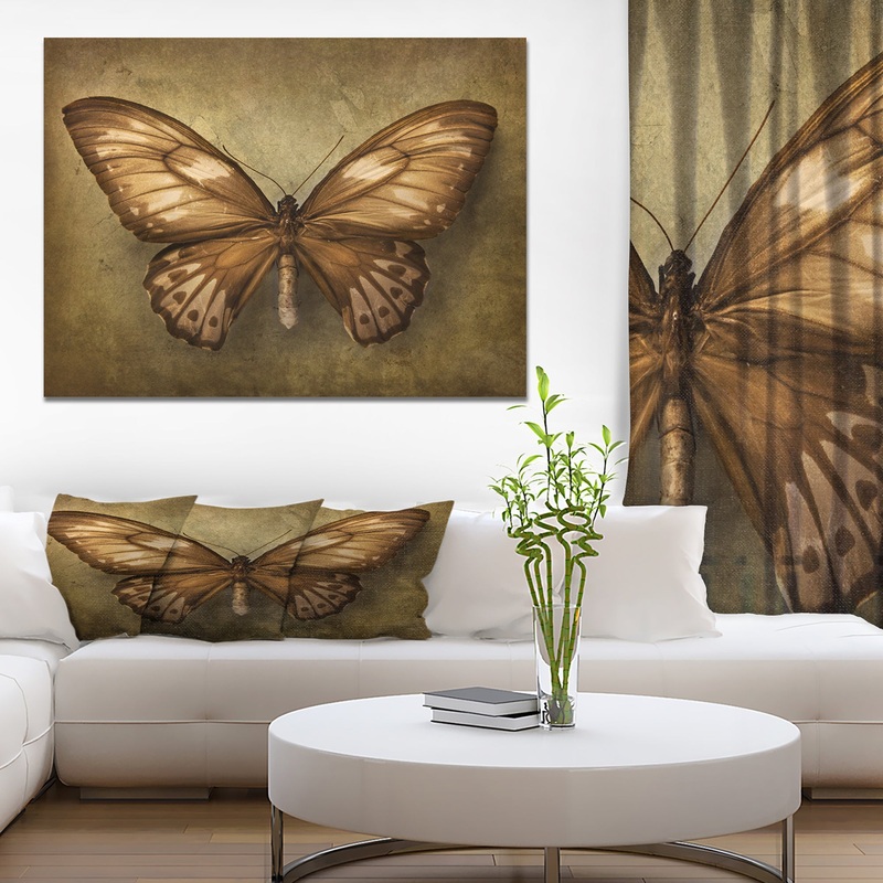 Vintage Butterfly - Vintage Painting Print on Wrapped Canvas
